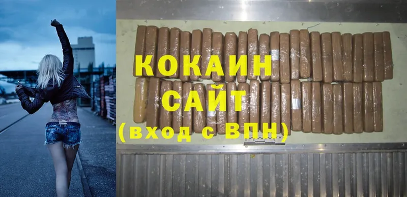 КОКАИН Fish Scale  где купить   Кирс 